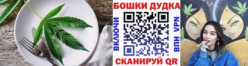 kraken как зайти  Торжок  Canna-Cookies конопля  магазин  наркотиков 