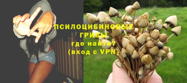 крисы Беломорск