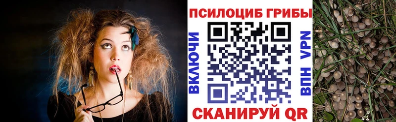 ОМГ ОМГ рабочий сайт  где купить наркоту  Торжок  Галлюциногенные грибы прущие грибы 